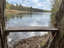 500Words 1:  Stadt/Land