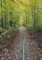 Das Freitagshundebild – Herbstwanderungen